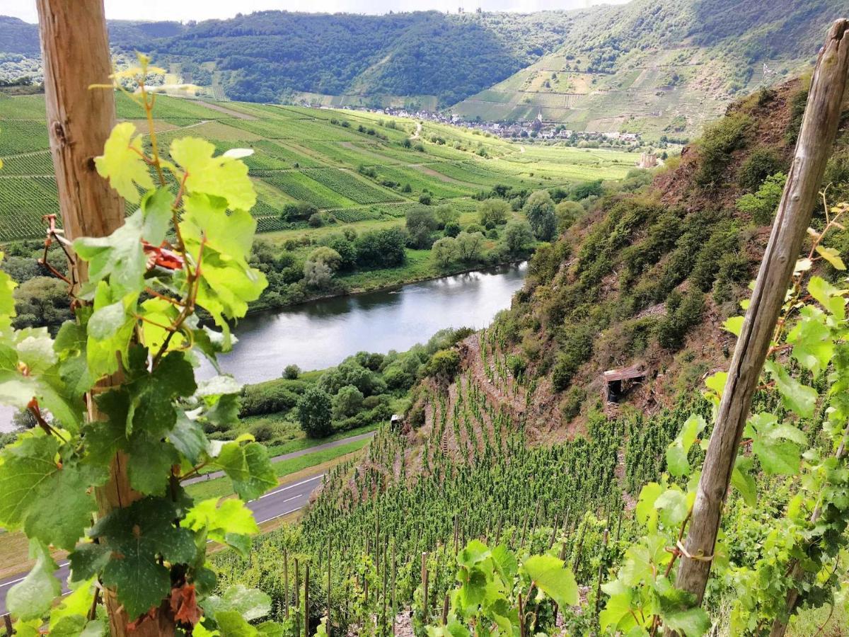 Ferienwohnungen Merl Zell an der Mosel Exterior foto